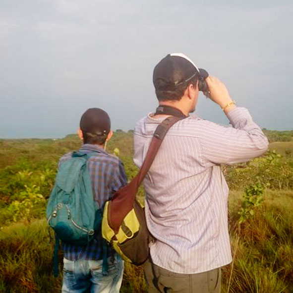 Explorando